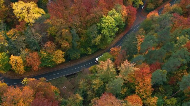 A bus driving on a scenic bendy road leading through a colorful forest in autumn