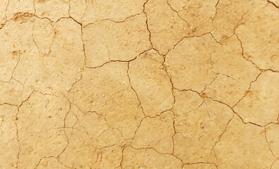The ground has cracks in the top view for the background