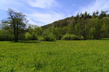 Obraz premium Landschaft im Sinntal zwischen Burgsinn und Rieneck, Landkreis Main-Spessart, Unterfranken, Franken, Bayern, Deutschland