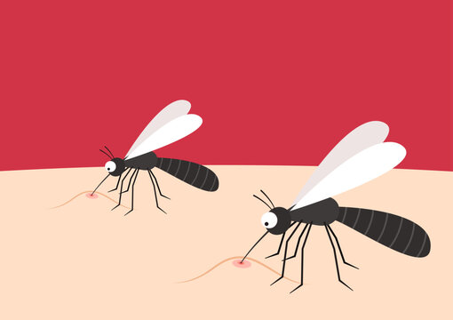 Mosquito bites. mosquito cartoon. wallpaper. free space for text. copy space.