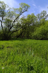 Landschaft im Sinntal zwischen Burgsinn und Rieneck, Landkreis Main-Spessart, Unterfranken, Franken, Bayern, Deutschland