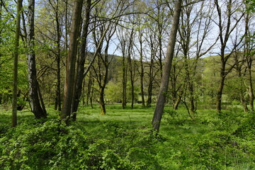 Obraz premium Landschaft im Sinntal zwischen Burgsinn und Rieneck, Landkreis Main-Spessart, Unterfranken, Franken, Bayern, Deutschland