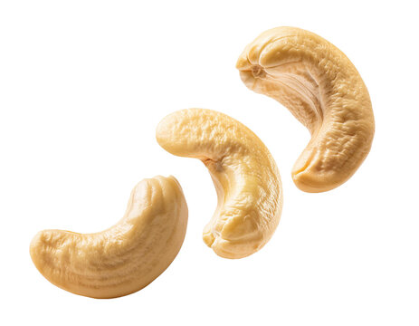 Cashewkerne fallend isoliert auf wei&szlig;en Hintergrund, Freisteller, Transparent 