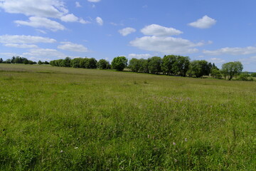 Das Naturschutzgebiet Lange Rhön in der Kernzone des Biosphärenreservat Rhön, Bayerischen Rhön, Landkreis Rhön-Grabfeld, Unterfranken, Bayern, Deutschland