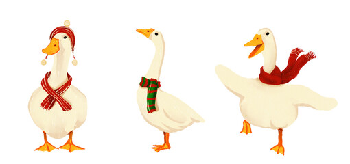 Christmas White duck cute baby wrapped in a scarf in winter lovely decoration Hand drawn illustration on a transparent background