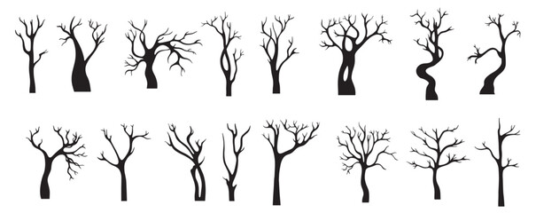 black naked tree silhouettes isolated winter flat trees dead dry branch trunk Marple oak abstract