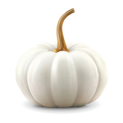 Realistic pumpkin isolated white background, vector realistic, autumn illustration