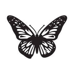 Intricate Butterfly with Floral Patterns Vector Illustration