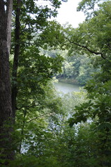 Cuivre River in the woods state park Lincoln County Missouri