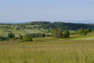Das Naturschutzgebiet Lange Rhön in der Kernzone des Biosphärenreservat Rhön, Bayerischen Rhön,...
