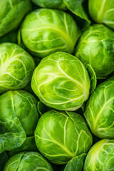 Fototapeta premium Macro shot of the texture of a brussels sprouts interior showcasing the vibrant green layers and delicate textures 