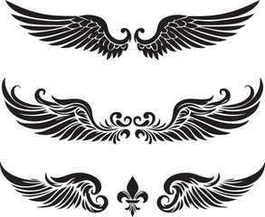 Vector illustration of wings collection set