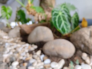 The blurred beauty of the mini garden
