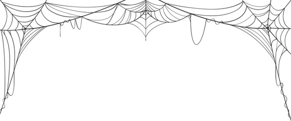 Spider web line art vector