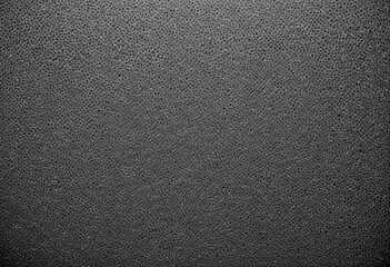 Grainy black and white image with a textured, dotted pattern across the entire frame 