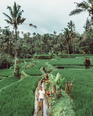 Caucasian guy walking alone in a rice field in Bali Indonesia