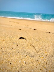 A footprint on a brach