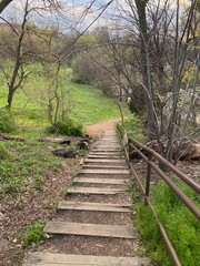 Obraz premium wooden path in the forest