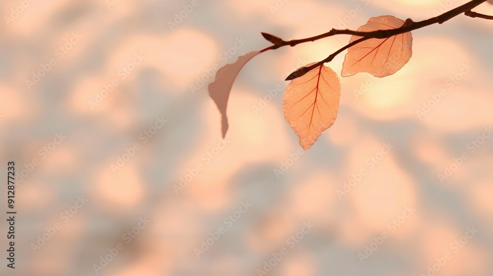 Poster a sharp focus on a leaf nestled on a tree limb against a blurred backdrop of the heavenly sky