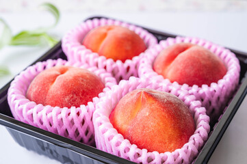 長野県産　ワッサー