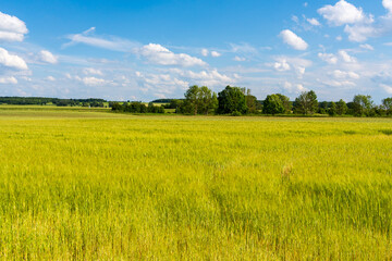 Unterwegs zwischen Vogelschutzgebiet NSG Garstadt und der Mainebne bei Hirschfeld und Heidenfeld im Landkreis Schweinfurt, Unterfranken, Bayern, Deutschland