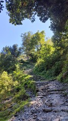 The views from the Poon Hill Trek above Pokhara in Nepal