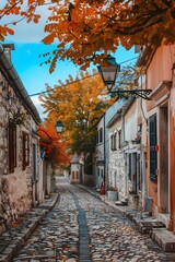 Fototapeta premium Cobblestone Street in Autumnal European Village