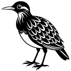 illustration of a bird