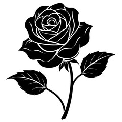 black and white roses vector illustration