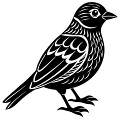 sketch of a bird vector illustration