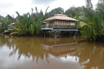 Obraz premium The Abode river luxury eco tent safari lodge in Ulu Temburong National Park in Brunei