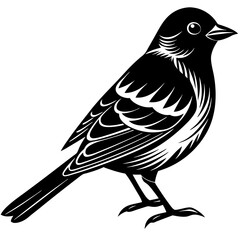 Obraz premium bird on a branch vector illustration