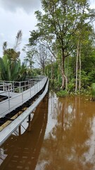The Abode river luxury eco tent safari lodge in Ulu Temburong National Park in Brunei