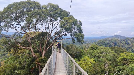 Hiking the suspension bridges and canopy walk in Ulu Temburong National Park on Borneo, Brunei