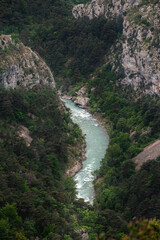 Obraz premium Sicht in die Verdon Schlucht in Südfrankreich, in der man umgeben von dunkelgrünen Bäumen den eisblauen Verdion fließen sieht