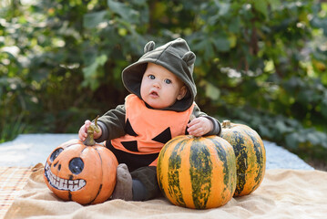 baby dressed in adorable pumpkin costume sits among pumpkins, holding one in each hand. festive...