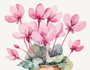 A small bouquet of watercolor pink cyclamen

