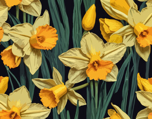 Yellow daffodil illustration 
