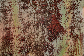 Backdrop of rusty surface of dark, brown, and orange hues. Detailed grunge rusted metal texture. Close-up of rust patterns, aged iron, scratched, worn, distressed areas, decay, corrosion details