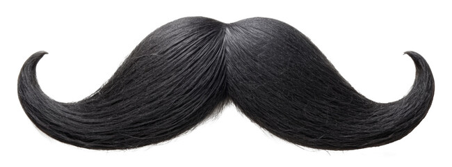 Realistic black fake mustache isolated on transparent background