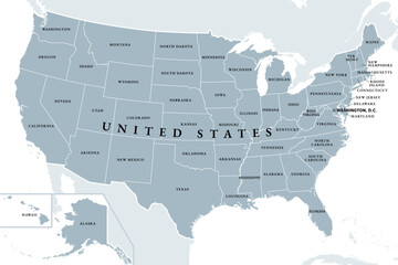 United States of America, gray political map. Fifty single states with their own geographic territories and borders, bound together in a union and federal government, with the capital Washington, D.C. © Peter Hermes Furian