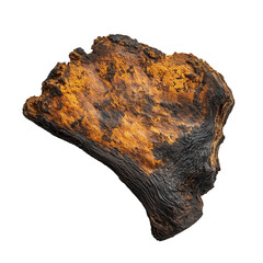 Chaga Mushroom on a White Transparent Background PNG