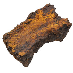 Chaga Mushroom on a White Transparent Background PNG