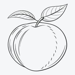 Exquisite Nectarine Line Art Illustrations