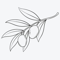 Elegant Olive Line Art, Minimalist Olive Branch Illustrations
