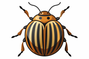  Colorado potato beetle vector illustration