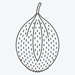 Stunning Salak Line Art Collection