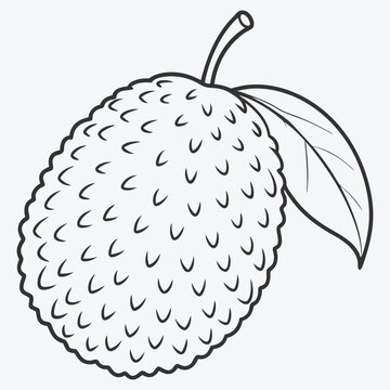 Stunning Jackfruit Line Art Collection
