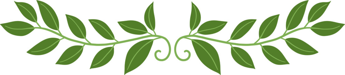 Floral and flower frame divider illustration.