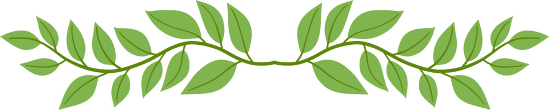 Floral and flower frame divider illustration.